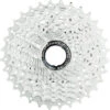Campagnolo® 11-fach Kassette