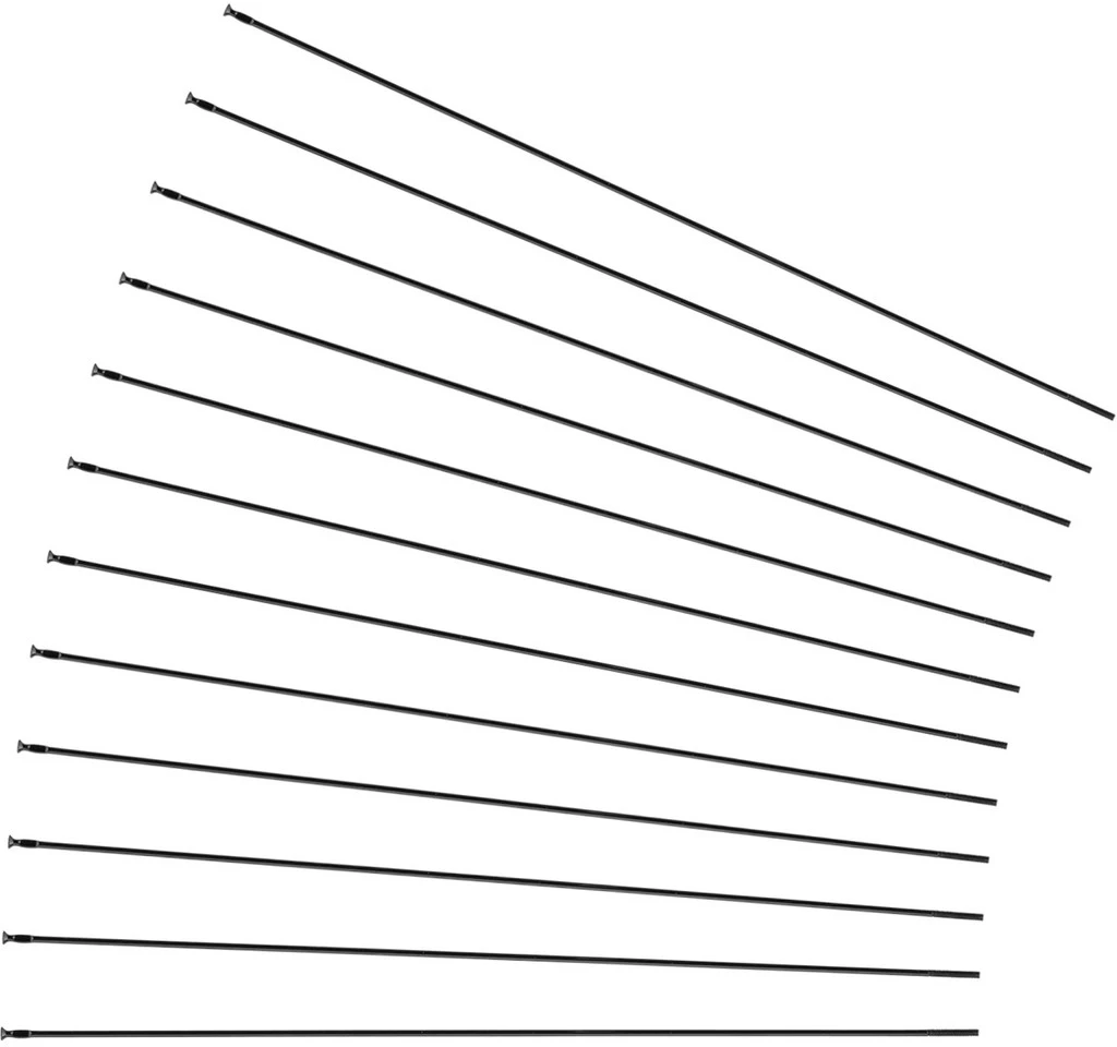 Mavic Crossride FTS-X 29" Ersatzspeichen Ab Modell 2016 1 Mavic Crossride FTS-X 29" Ersatzspeichen Ab Modell 2016